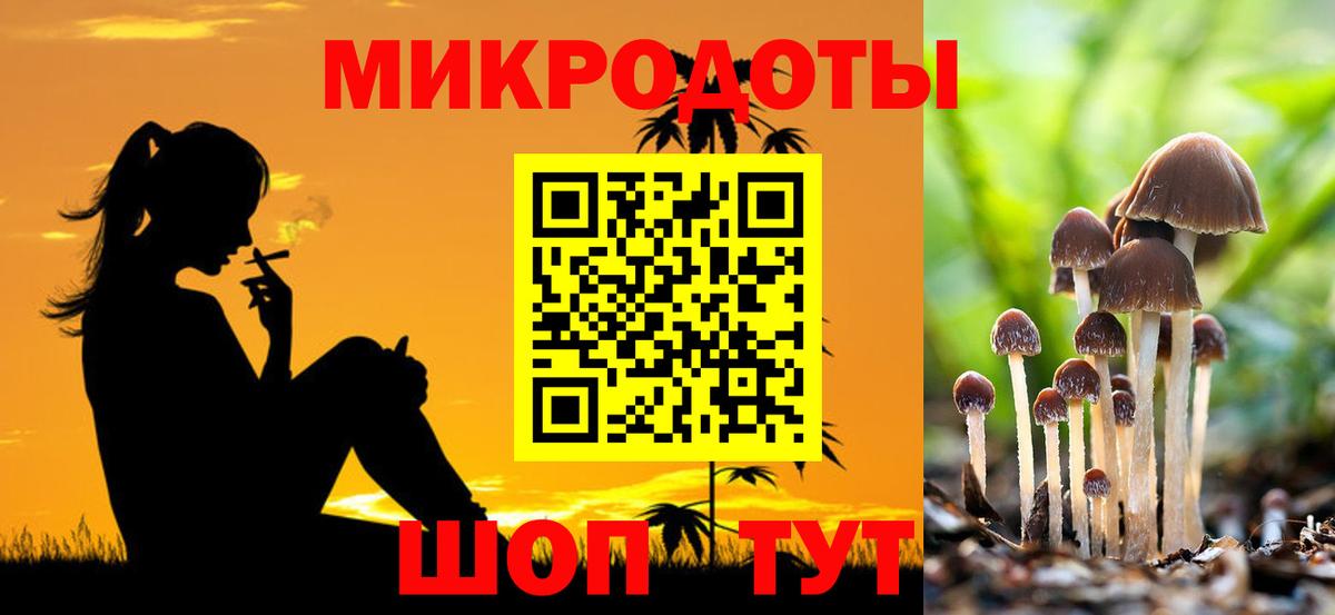 Лесной  Псилоцибиновые грибы мицелий  Вход с VPN 